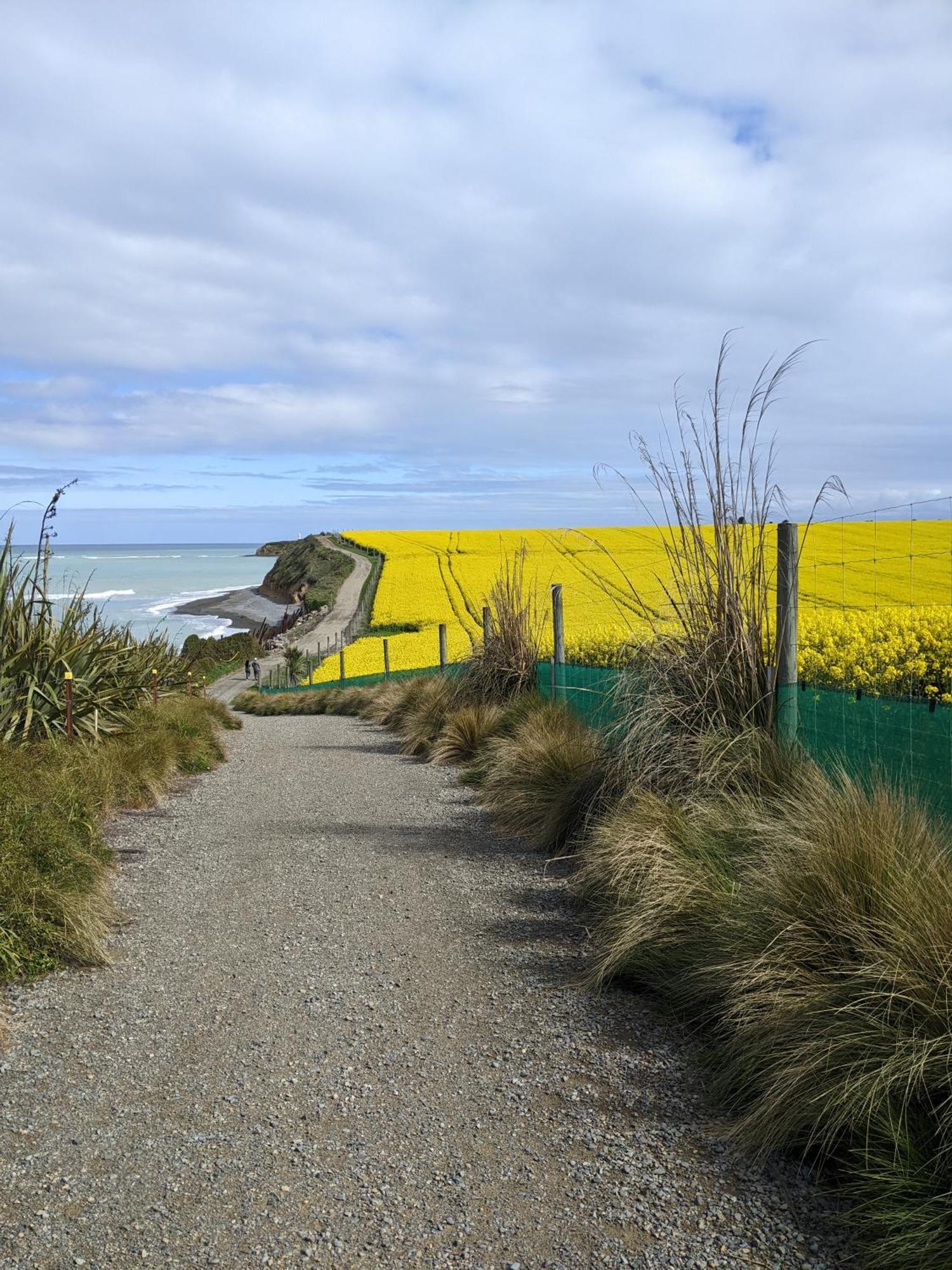 Kingsdown Manor B&B Timaru Exterior foto